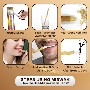 1 Pack de bâtonnets de miswak avec support en plastique, scellés sous vide, 100 % naturels, brosse à dents Sewak pour des dents saines et une haleine fraîche - Product Image 6