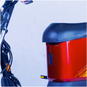 Vélo électrique de livraison Disiyuan avec pneus larges de 16 pouces, moteur 800W, modèle urbain, vélo tout-terrain à pneus larges de 20 pouces 1200W - Product Image 5