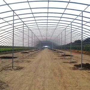 Kit <span class=keywords><strong>de</strong></span> serre commerciale Semis <span class=keywords><strong>de</strong></span> légumes à portée unique Cadre agricole Film plastique Tunnel Serre <span class=keywords><strong>de</strong></span> fraises à vendre - Product Image 5