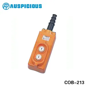 Waterproof Crane Remotes Control Button Hoist Remote Switch Crane Pendants For In Industry COB Series Crane Button Switch