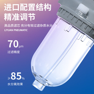 Filtro de Aire Neumático LiYuan 70m, Separador de Agua y Aceite de Precisión para Compresor Serie QSLH QIU - Product Image 1