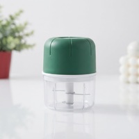 Nouveau hachoir à ail électrique mini rechargeable USB OEM, lame en acier inoxydable, pour pâte de gingembre et d'ail, cuisine indienne, vente en gros