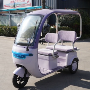 Tricycle familial, petit tricycle réglable à trois places pour 3 personnes - Product Image 5