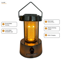 Lanterne de camping rétro robuste en métal brossé, rechargeable, 200 lumens, lumière chaude à intensité variable pour tente extérieure, jardin, randonnée en plein air