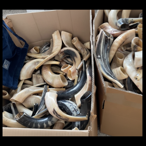 Shofar / Kudu / Ram Horn/Shofar pulido BY OCEAN EXPORT - Product Image 1