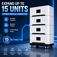 Batterie LiFePO4 empilable haute capacité SOLAN CE 16 kWh 51,2 V 314 Ah pour stockage solaire