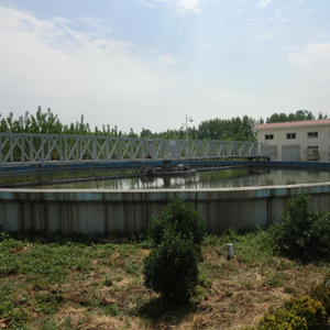 Produttore di raschietti per fanghi con trasmissione centrale del serbatoio di sedimentazione delle acque reflue raschietto per fanghi in acciaio inossidabile 304 per il trattamento delle acque reflue - Product Image 6