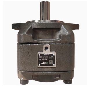 ปั๊มเกียร์ภายใน HYTEK รุ่น HG1-40-01R-VPC 1-50- 1-63- 2-80- 2-100- 2-125- - Product Image 1