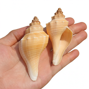 Concha de Caracol Natural Amarilla Hecha a Mano para Decoración de Paisajes, Espiral Larga, Especímen Natural, Arte con Tacto Real - Product Image 1