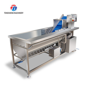 Máy rửa rau quả tự động tạo bọt xoáy Máy rửa rau quả Máy rửa cam quýt TS-X220 - Product Image 2