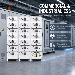 Batería de Litio Lifepo4 de Alto Voltaje de 614.4v 314ah para Montaje en Rack, 192.8kwh de Almacenamiento de Energía, en Oferta - Product Image 5