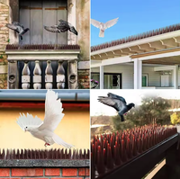 Pointes d'oiseaux noires en plastique pour prévenir les infestations d'oiseaux.