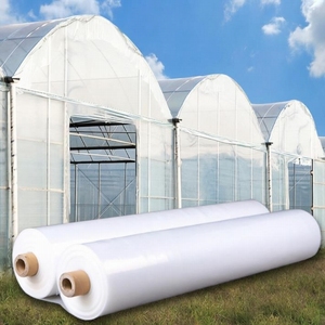 <span class=keywords><strong>ฟิล์ม</strong></span>โพลีเอทิลีนสำหรับโรง<span class=keywords><strong>เร</strong></span>ือน UV 200-250 ไมครอน หนา 6 มิล แบบม้วน สำหรับการเกษตร - Product Image 1