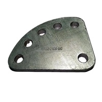 Plaque de fabrication japonaise, alimentation électrique par immersion, zircon