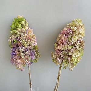 Fiori Secchi Immortali all'Ingrosso, Stelo <span class=keywords><strong>di</strong></span> Ortensia a Pagoda per Decorazioni <span class=keywords><strong>di</strong></span> Matrimoni, Festa della Mamma, <span class=keywords><strong>San</strong></span> <span class=keywords><strong>Valentino</strong></span>, Casa e Feste - Product Image 6