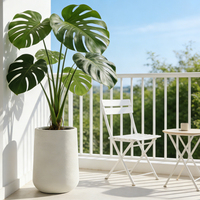 2026 Pots de sol hauts de qualité supérieure, écologiques, durables, minimalistes, pour plantes d'intérieur, jardinières rustiques d'extérieur, grands pots de jardin en gypse