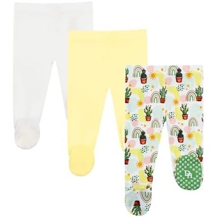 กระบองเพชร