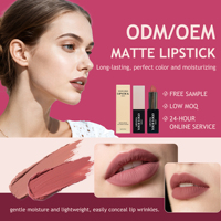 OEM ODM vente en gros de rouge à lèvres de couleur cosmétique pour les lèvres marque privée logo personnalisé crayon à lèvres mat bâton à lèvres imperméable végétalien