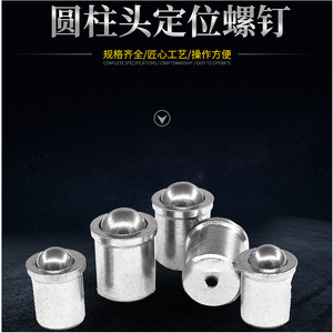 YX Cylindrical Head Locating <b>Screw</b> D5 L6 Metric Stainless Steel Fully Threaded Type Standard Use - Product Image 1
