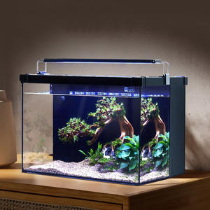 Bureau écologique eau herbe aménagement paysager ménage poisson ornemental verre Ultra-blanc petit salon souper réservoir en verre blanc - Product Image 2