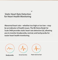 Balance connectée Mi Home Body Fat Scale S400 bleue - Produits pour la maison intelligente