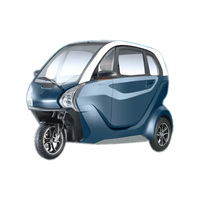 Tricycle électrique EEC 72V 3000W, véhicule à énergie nouvelle pour adultes et familles, parfait comme voiture familiale