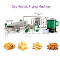 High-end 300kg/u aardappelchips-sticks frituurmachine, productielijn voor plantain, yam en aardappelchips, continue friteuse, fabriek voor Peru en Chili