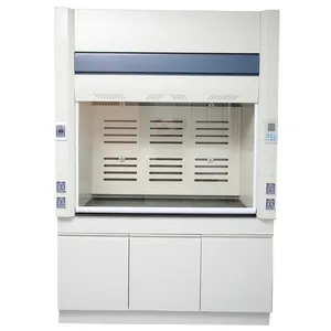 Guangzhou Ventilation Cabinet Exhaust Fan New Design Laboratory Fume Hoods Chemistry Lab School Fume Hood