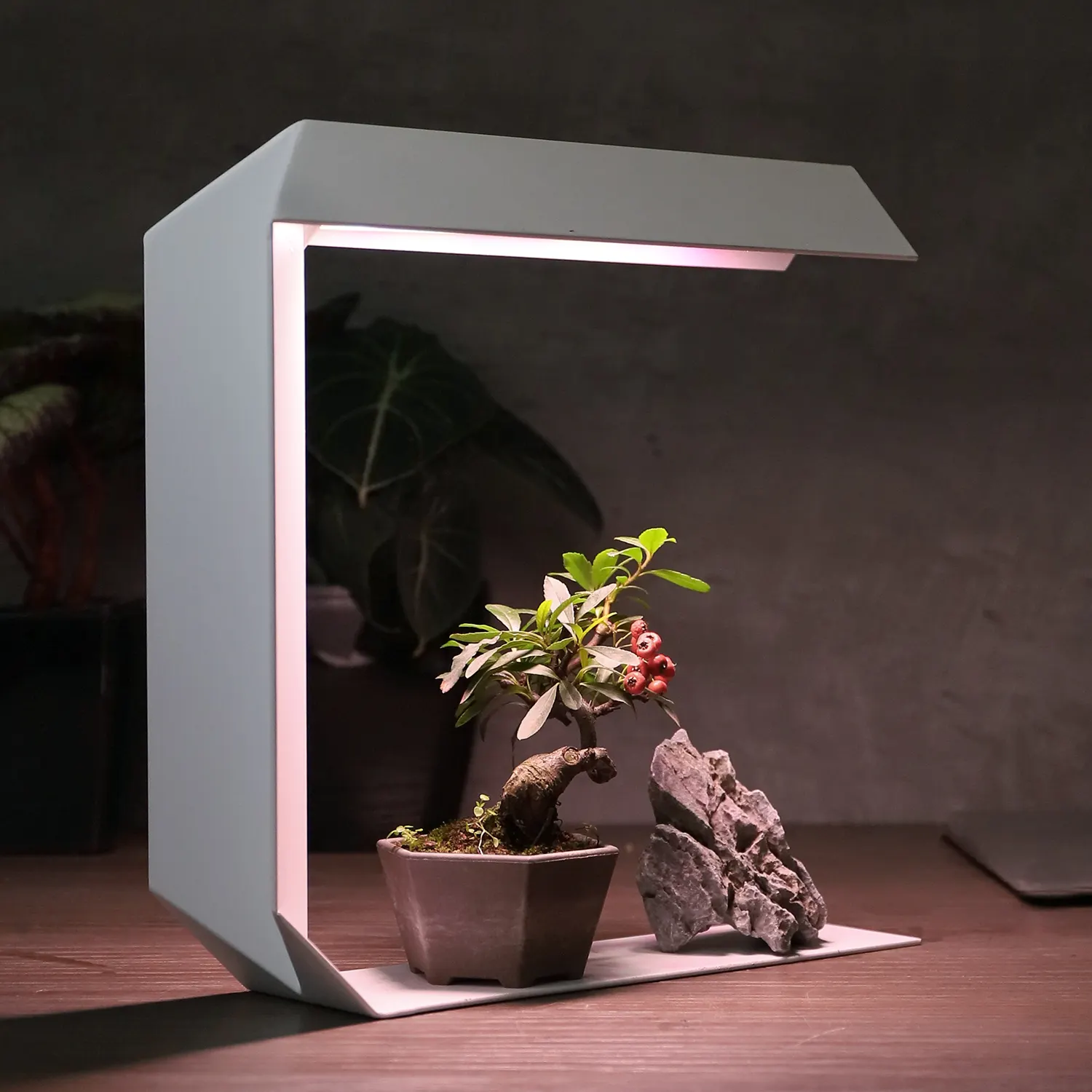 Светодиодный комнатный садовый бонсай, подходящий стол, зеленый комнатный светильник для выращивания, умный садовый светильник для домашнего декора