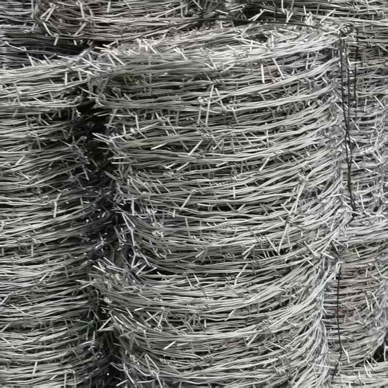 2025 Best Price Hot Dip Galvanized