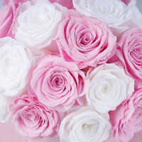 Boîte-cadeau de fleur éternelle de rose préservée naturelle entière d'usine du Yunnan pour des cadeaux de Saint Valentin