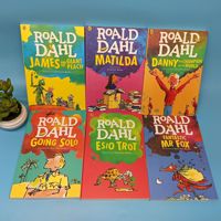 24 livres Roald Dahl Collection littérature pour enfants roman histoire livre ensemble éducation précoce lecture pour enfants apprenant l'anglais