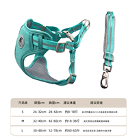 Laisse pour chien de luxe réfléchissante, imperméable, en nylon et coton rembourré, avec boucle à dégagement rapide, tailles réglables, design personnalisé de dessin animé