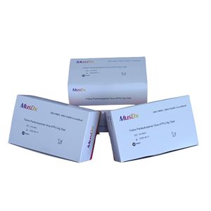 Diagnostics pour animaux de compagnie Herpèsvirus félin/Calicivirus (FHV/FCV) <span class=keywords><strong>Kits</strong></span> de <span class=keywords><strong>test</strong></span> de santé combinés à la maison Détection rapide du bien-être - Product Image 3
