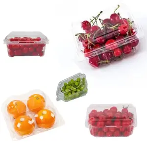 Оптовая продажа, прозрачная пищевая пластиковая коробка для упаковки фруктов, контейнеры для фруктов