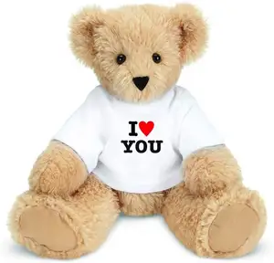 定制泰迪熊毛绒玩具绝对可爱熊带t恤玩具可爱泰迪熊毛绒娃娃带标志