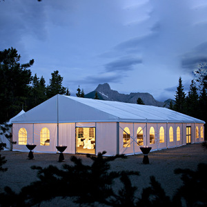 프리미엄 5m 텐트 타포린 롤 정전 PVC 코팅 직물 이벤트 텐트 차양 그늘 커튼 850 GSM 듀얼 아크릴 래커 - Product Image 3