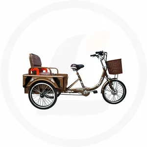 Landao 자전거 2020 뜨거운 판매 전기 세발 자전거 1000w 모터 리튬 배터리 카고 peseegers 모든 사람들