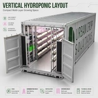 Serre commerciale en conteneur, ensemble complet avec technologie d'agriculture intelligente pour la culture de la laitue, des épinards, du chou et des herbes aromatiques