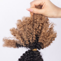 Cheveux Afro Kinky Ombrés en Vrac pour Tresses 11A, 30g, Humains, Peu Coûteux (Couleurs 30/4/30, 27/1b/27)