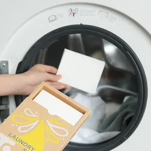 แถบผงซักฟอกซักผ้าเทคโนโลยีใหม่แผ่นซักผ้าสูตรย่อยสลายได้ทางชีวภาพที่เป็นเข้มข้นเป็นมิตรกับสิ่งแวดล้อม