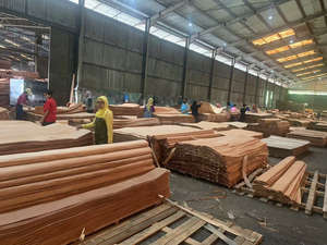 Keruing Veneer Premium <b>Timber</b> Panel for Versatile Use in Construction and Custom Woodworking Projects - Product Image 4