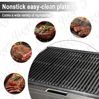 Barbecue à gaz avec contrôle de température réglable, plaque de cuisson antiadhésive côtelée, garde les jus et les saveurs, OEM ODM