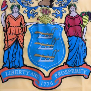 Drapeau du New Jersey brodé de qualité supérieure, 3x5 pieds, tissu Oxford résistant, couleur buff, coutures renforcées, avec œillets en laiton - Product Image 3