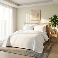 Ensemble de literie d'hôtel de luxe sur mesure, taille lit king queen, 5 étoiles, 100% coton blanc, draps de lit d'hôtel