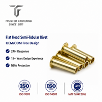 Rivets semi-tubulaires à tête plate TianFang pour la production de panneaux intérieurs de bus, zingués, échantillonnage rapide et directement de l'usine
