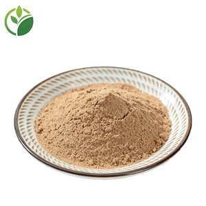 Nhà Máy giá bán buôn Chất lượng cao ngày đỏ bột táo tàu bột trái cây ngày Đỏ Táo tàu chiết xuất từ quả bột ngày Đỏ - Product Image 3