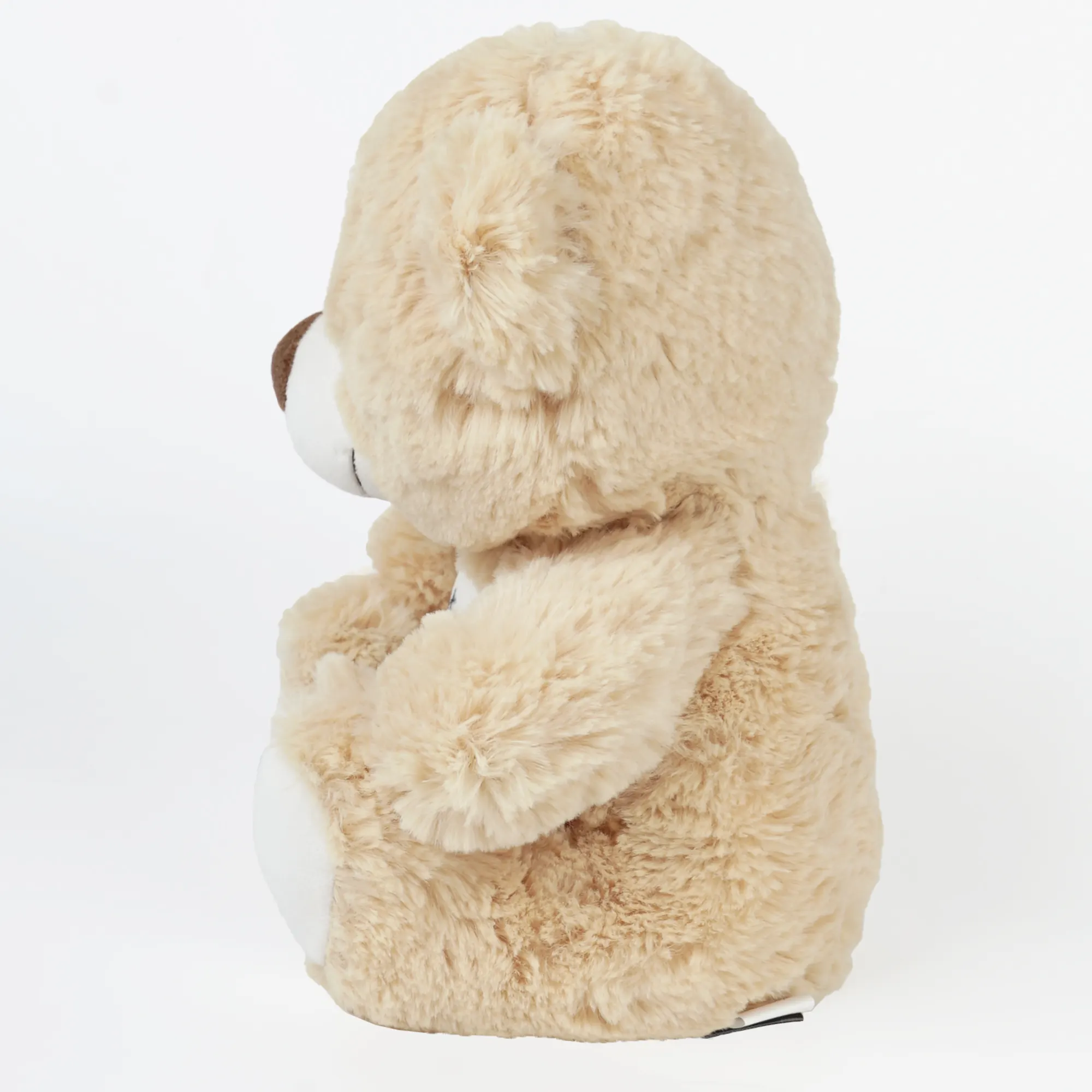 Aoyatex – jouet en peluche personnalisable, ours en polaire PV