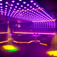 Matriz de Luces LED RGB Direccionables de 50 mm con Control DMX512/Activación por Sonido, Clasificación IP65, para Iluminación de Bares y Publicidad