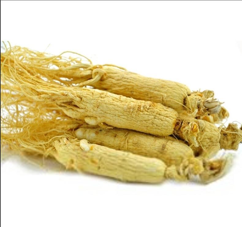 Food Grade Natural Chinese White Ginseng